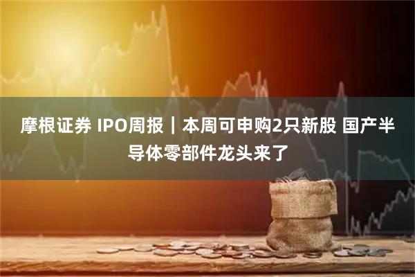 摩根证券 IPO周报｜本周可申购2只新股 国产半导体零部件龙头来了