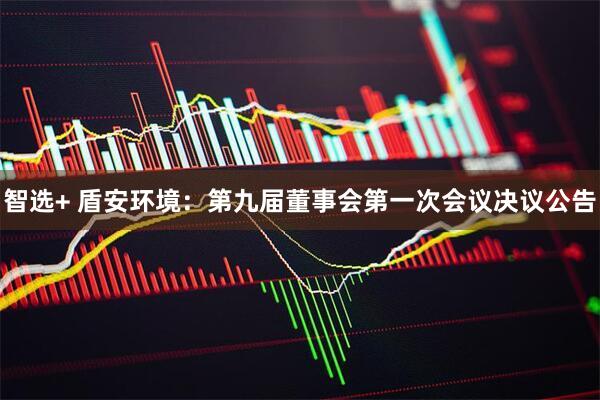 智选+ 盾安环境：第九届董事会第一次会议决议公告