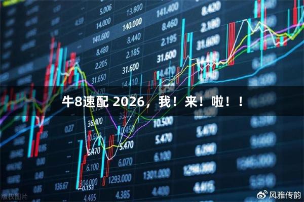 牛8速配 2026，我！来！啦！！