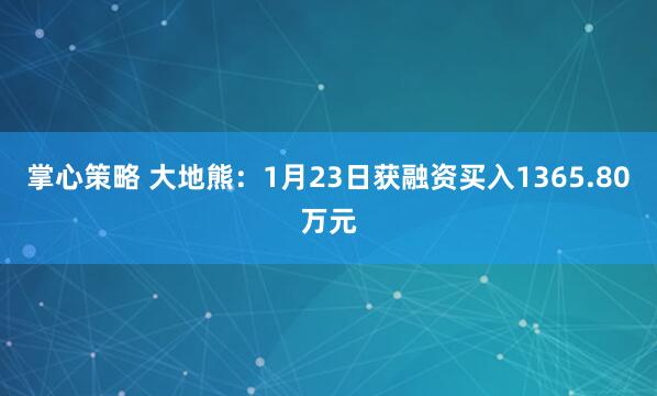 掌心策略 大地熊：1月23日获融资买入1365.80万元