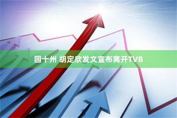 园十州 胡定欣发文宣布离开TVB