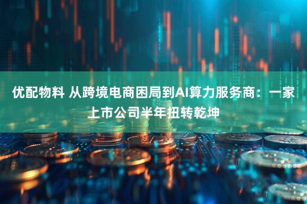 优配物料 从跨境电商困局到AI算力服务商：一家上市公司半年扭转乾坤